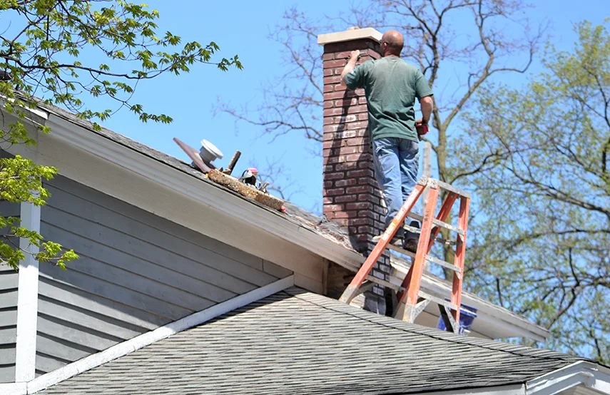 Chimney & Fireplace Inspections Services in Aspen Hill, MD